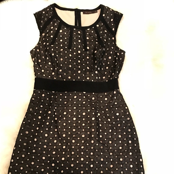 The Limited Dresses & Skirts - The Limited black / cream eyelet dress 6